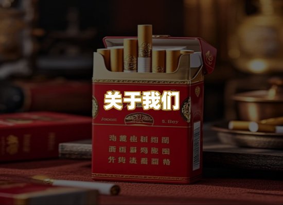 关于我们